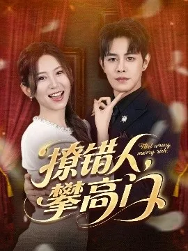 撩错人攀高门